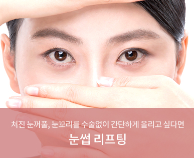 눈썹 리프팅