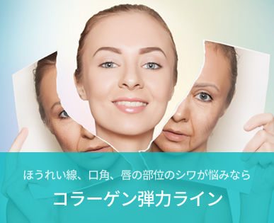 콜라겐 탄력라인